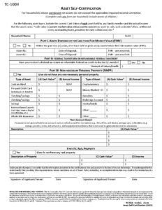 TC 100H Asset Self Certification with Worksheet 8