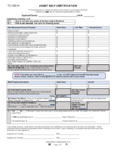TC100 H New 2026 Asset Self Certification