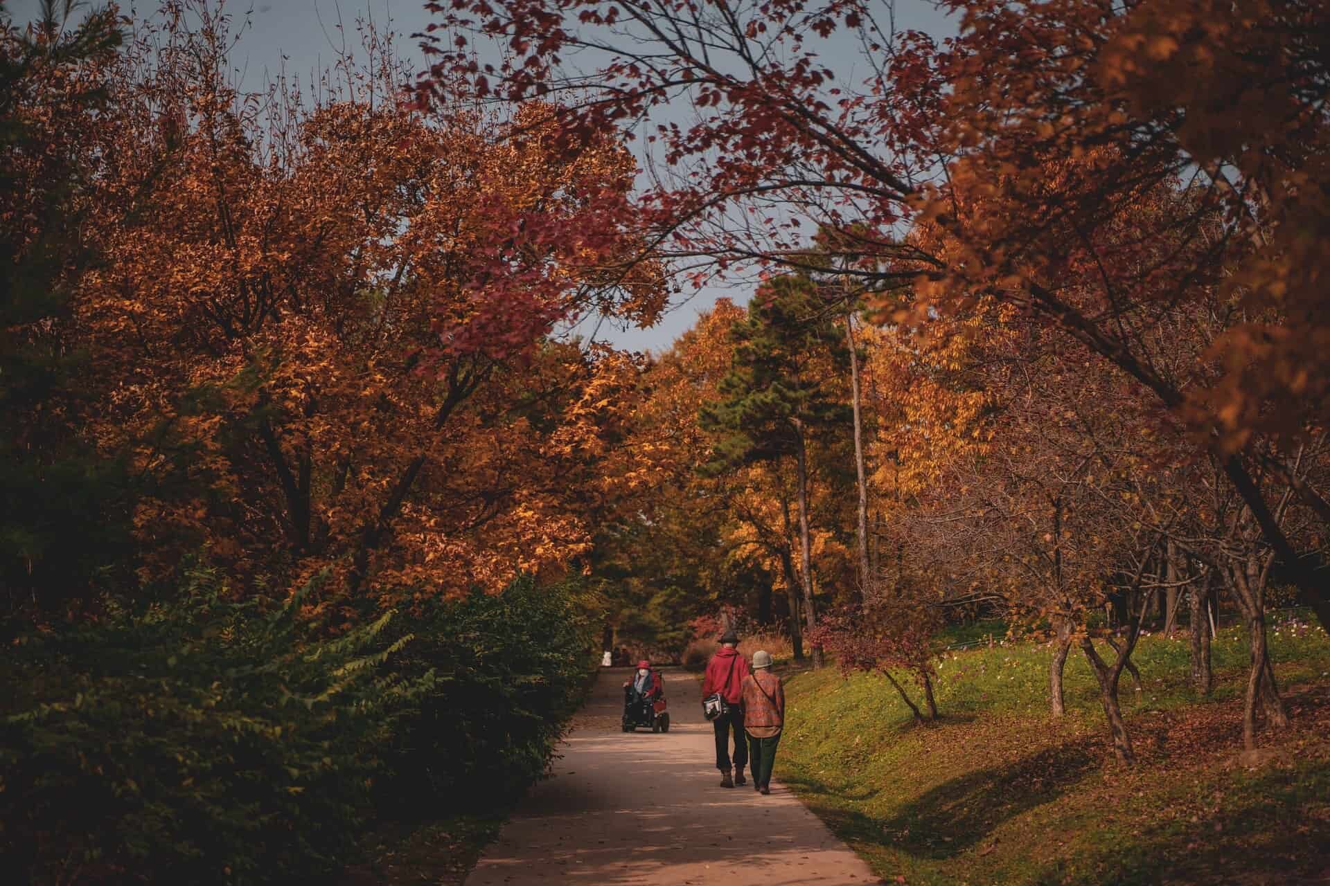 A serene park scene featuring a path adorned with vibrant autumn foliage in 2022, enjoying the COLA of 5.9%. Three people are visible: an elderly couple walking hand in hand in the foreground, and another person further down the path, pushing a stroller. Trees with orange and red leaves line the path.
