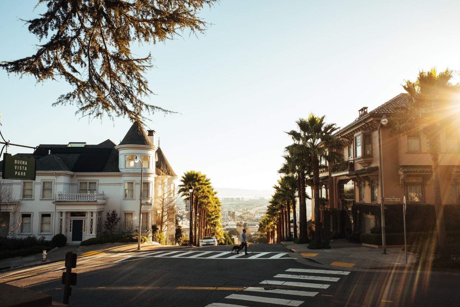 A sunlit, sloping street in San Francisco with Victorian-style houses on either side. A cyclist crosses the intersection towards Buena Vista Park, visible on a green sign. Palm trees line the street, and the hazy cityscape is seen in the background.